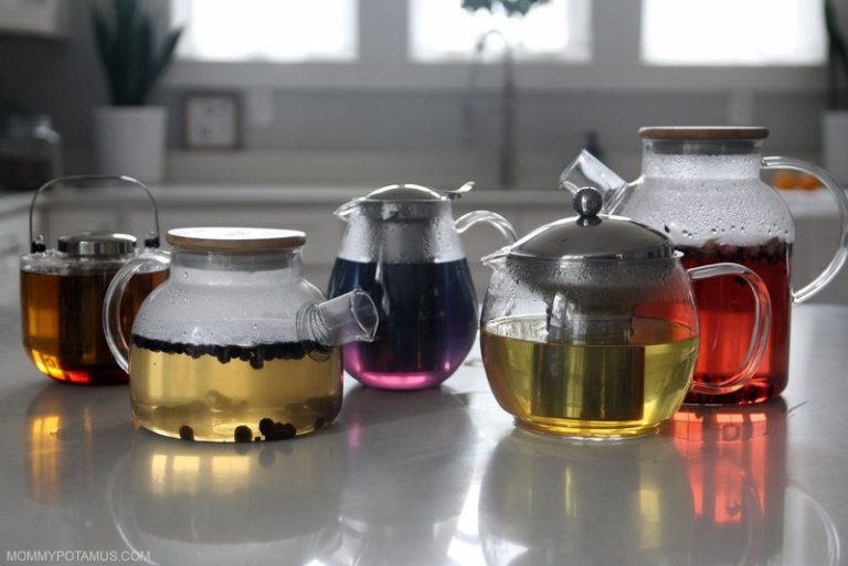 Glass Teapot Enchantment: Captivating Moments in Every Sip